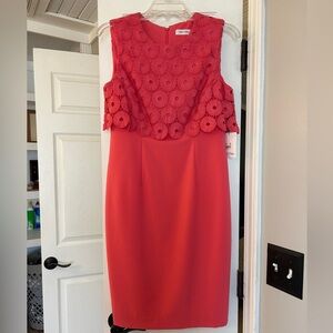 Calvin Klein Women’s Pink Dress